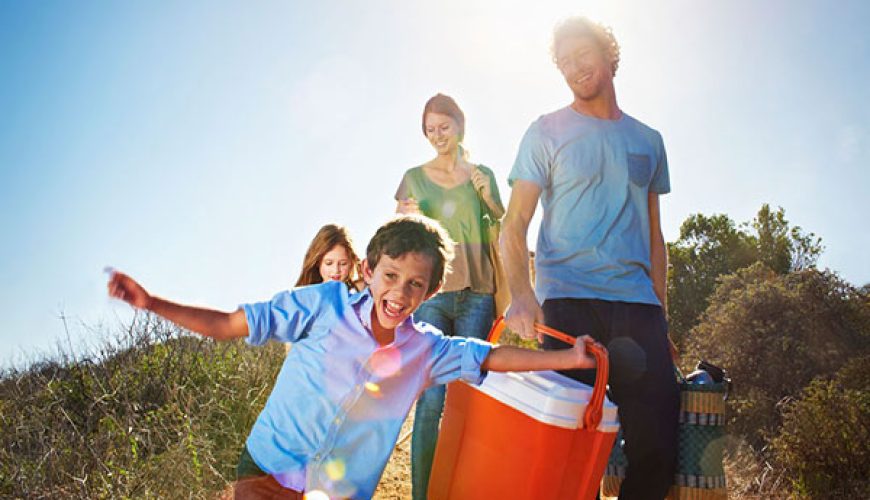 تور مسافرتی داخلی ارزان