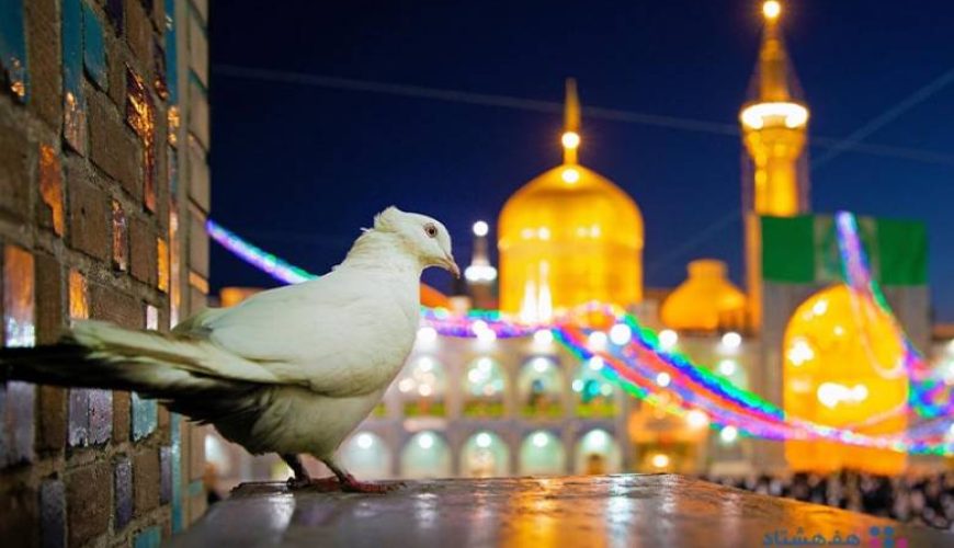 m/تورهای داخلی ارزان قیمت از مشهد