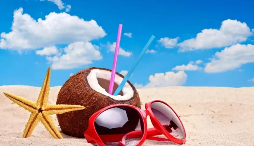 m/تورهای مسافرتی داخلی ارزان قیمت